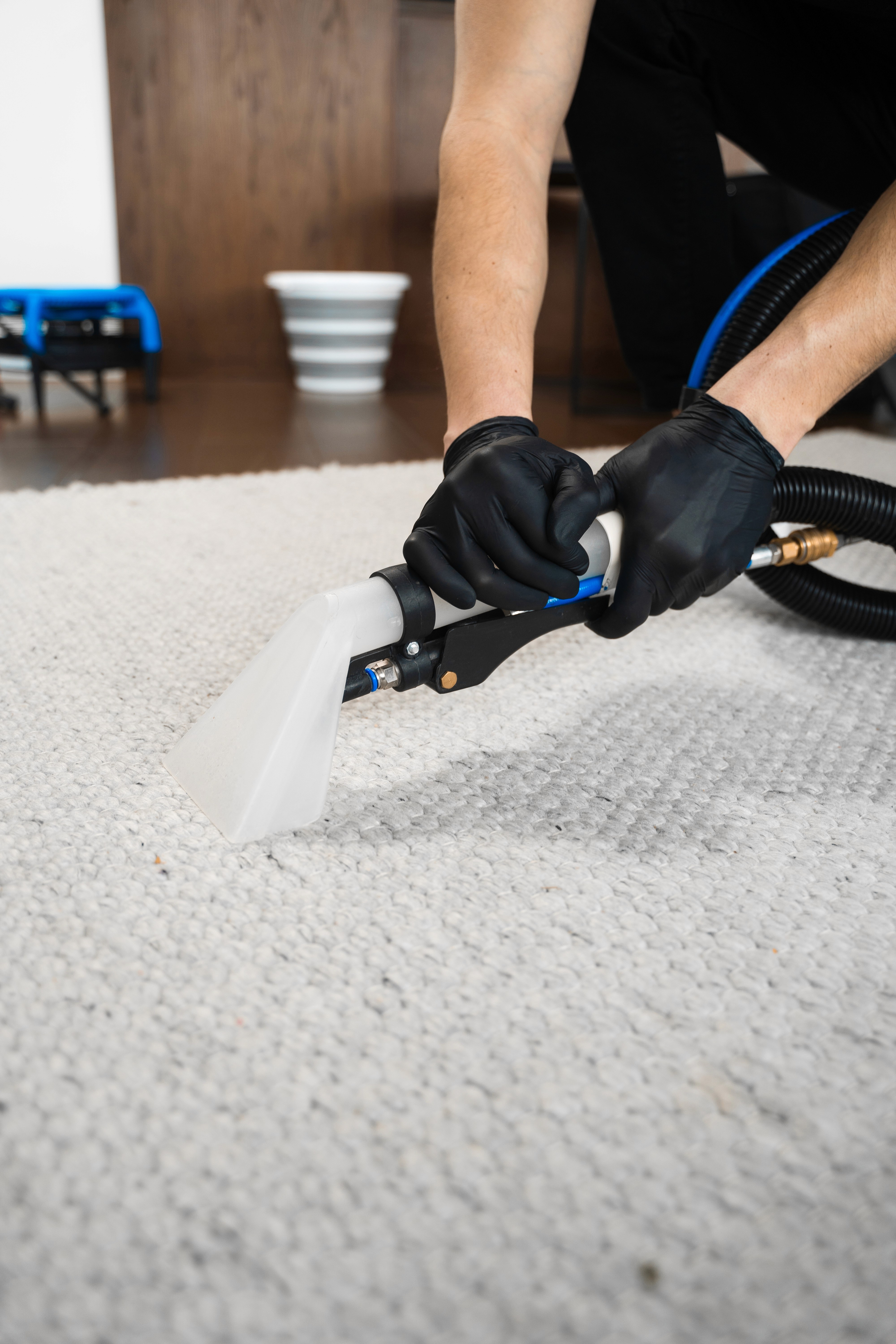 Close-up of a carpet extraction tool cleaning a rug